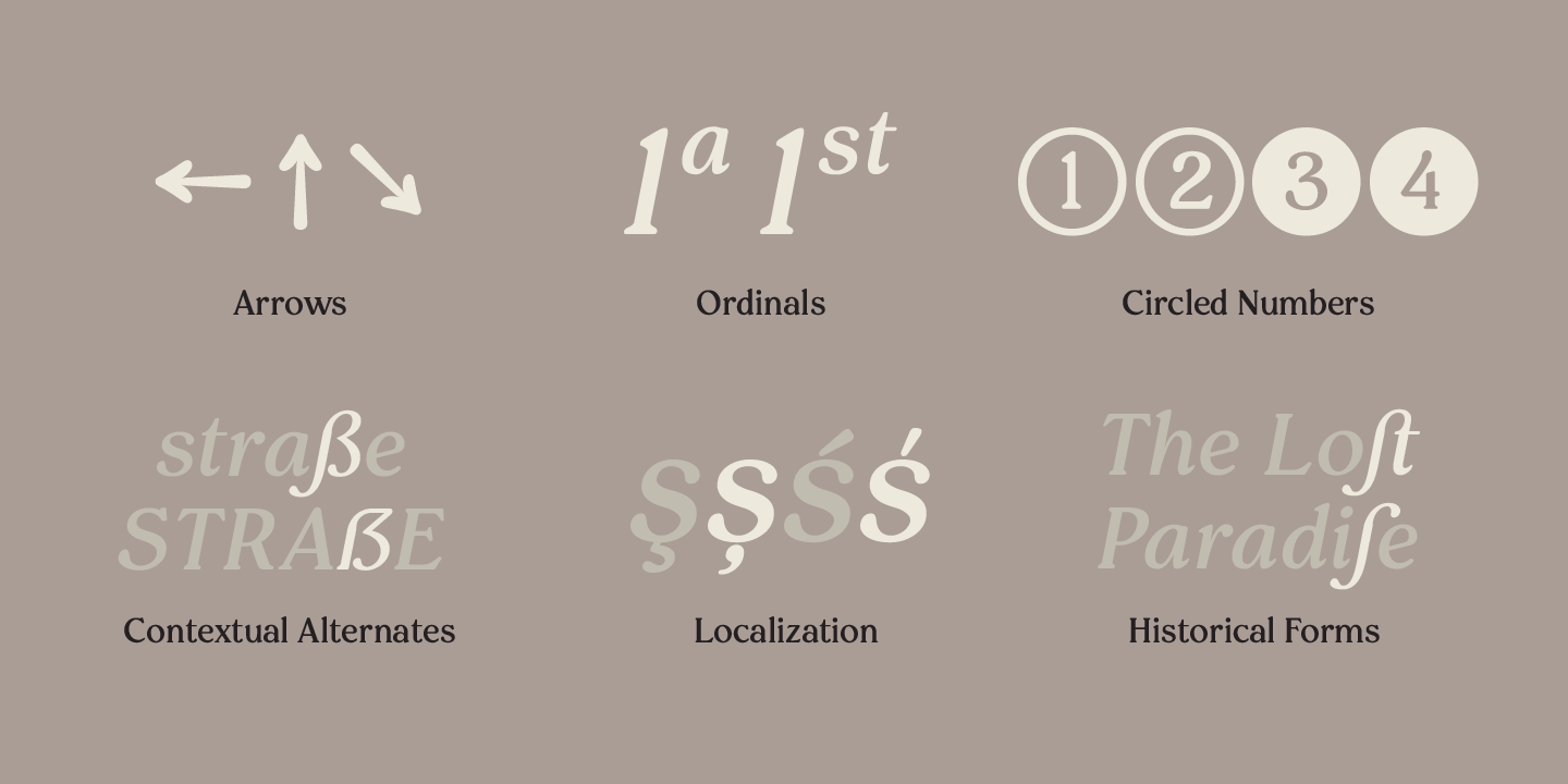 Przykład czcionki Pockota Bold Italic